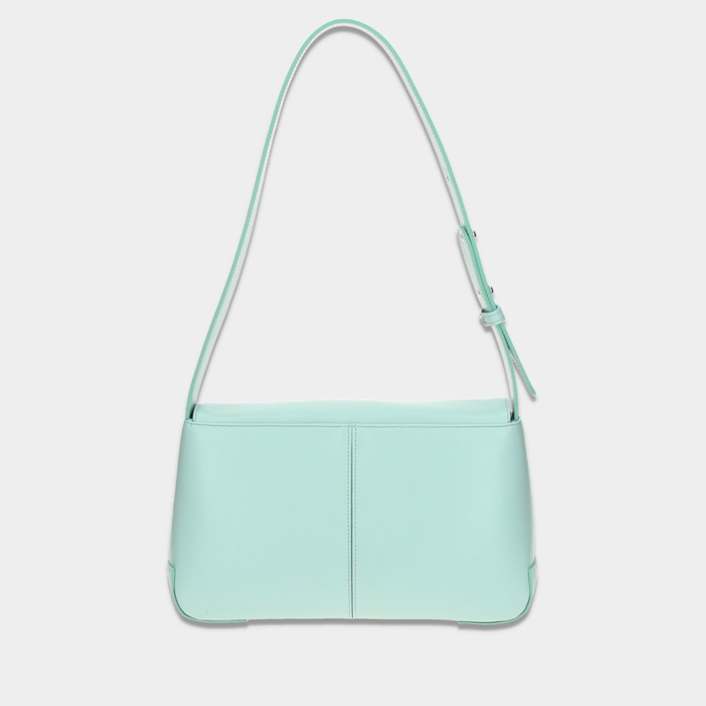 Clasico flap bag (2)