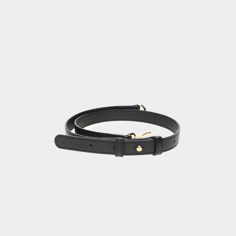 Fancy belt