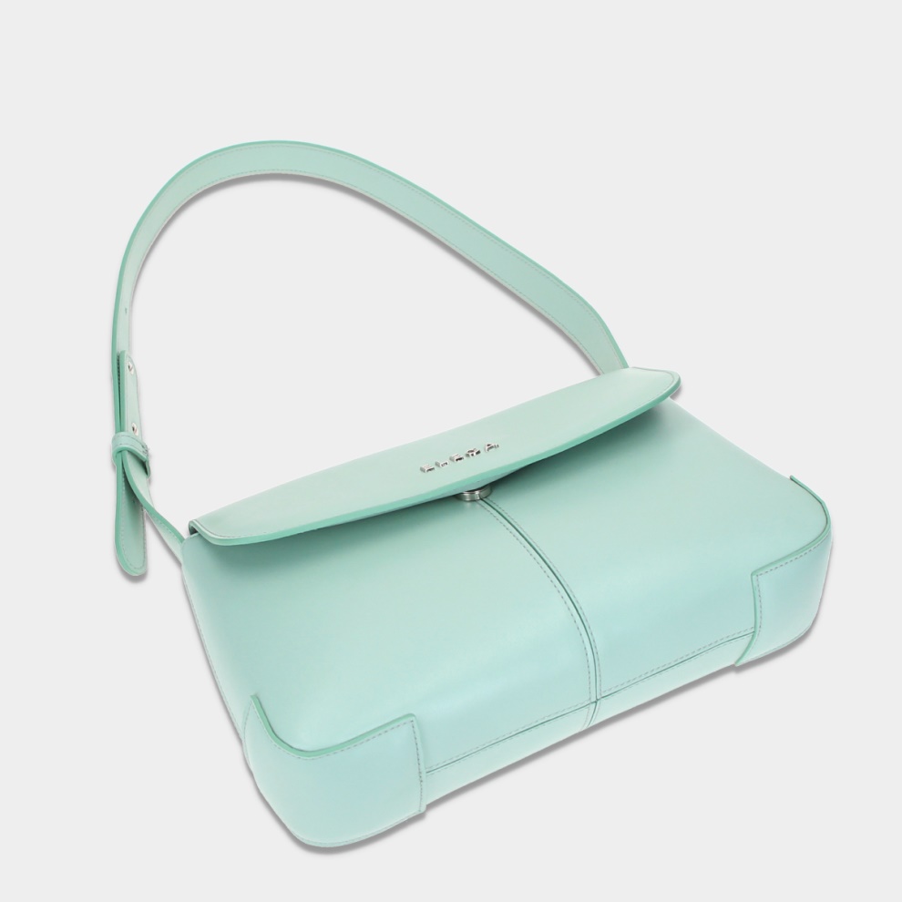 Clasico flap bag (3)
