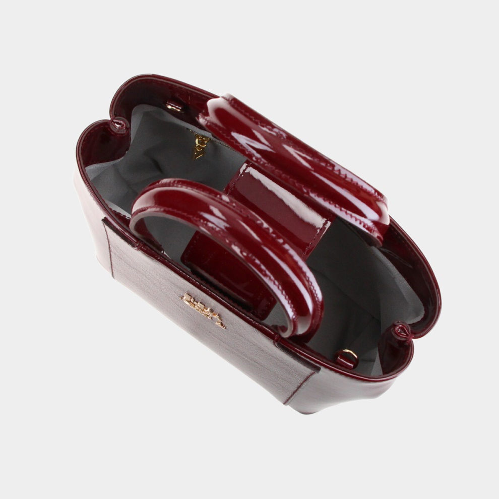 Grace mini handbag (2)